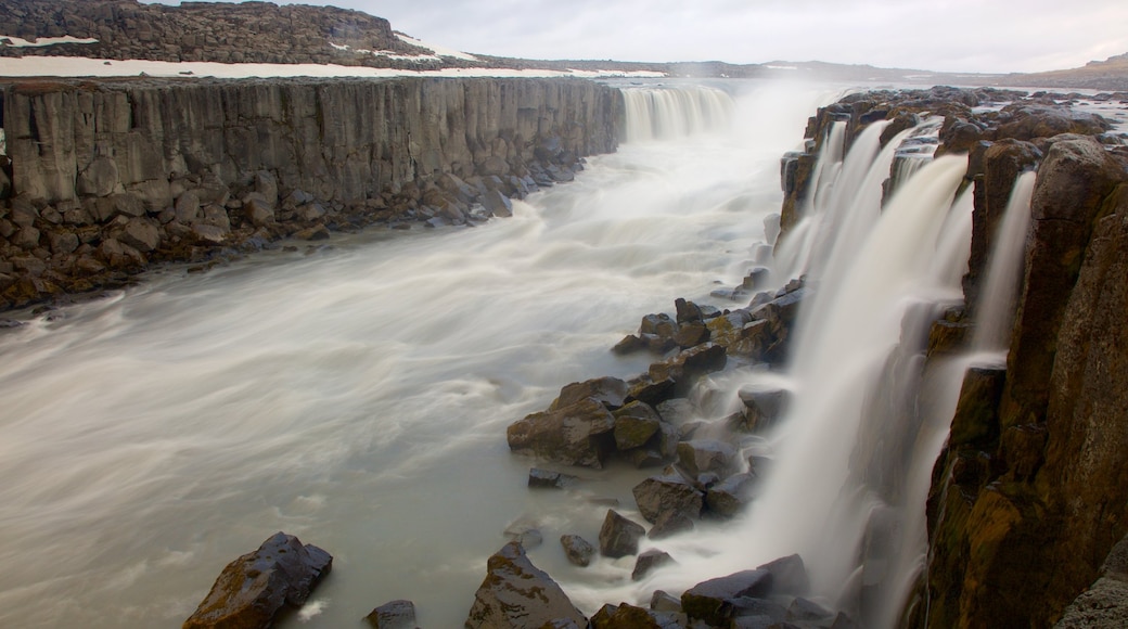 Selfoss featuring rapids, a gorge or canyon and a cascade