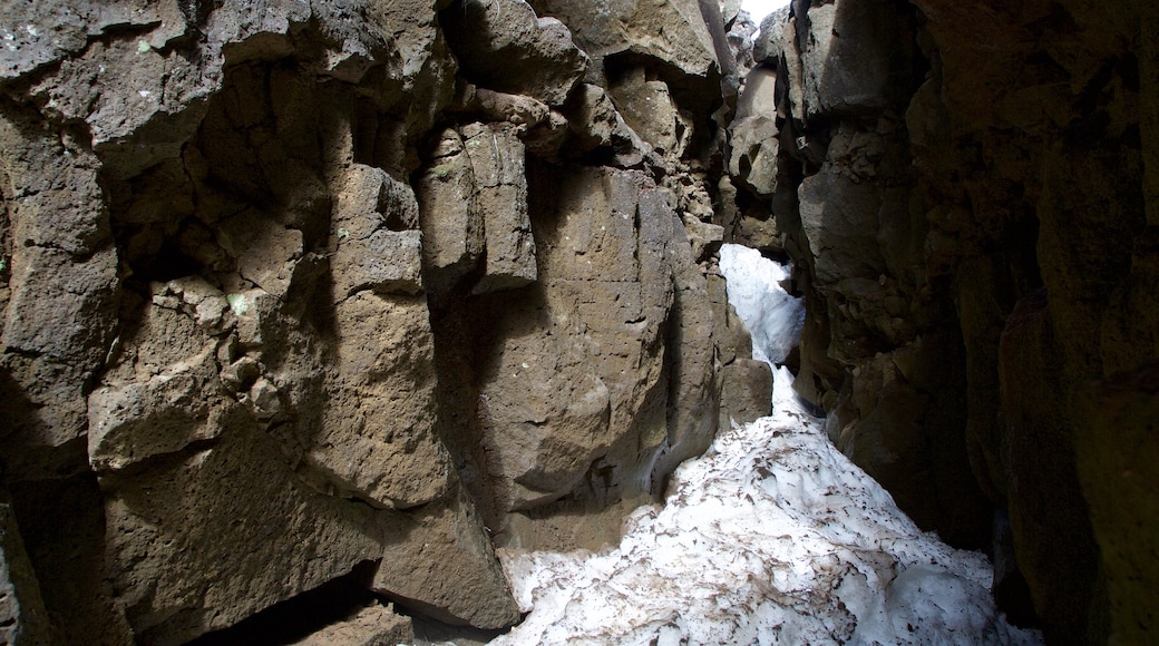 Parque Nacional Þingvellir mostrando nieve y un barranco o cañón