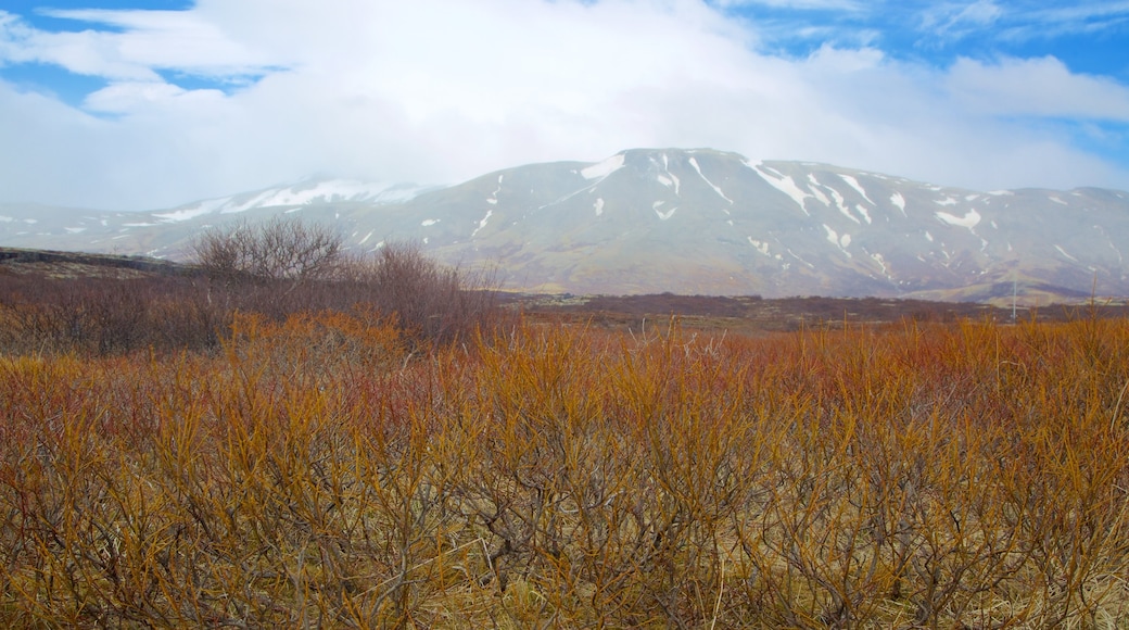 Thingvellir nasjonalpark som inkluderer rolig landskap