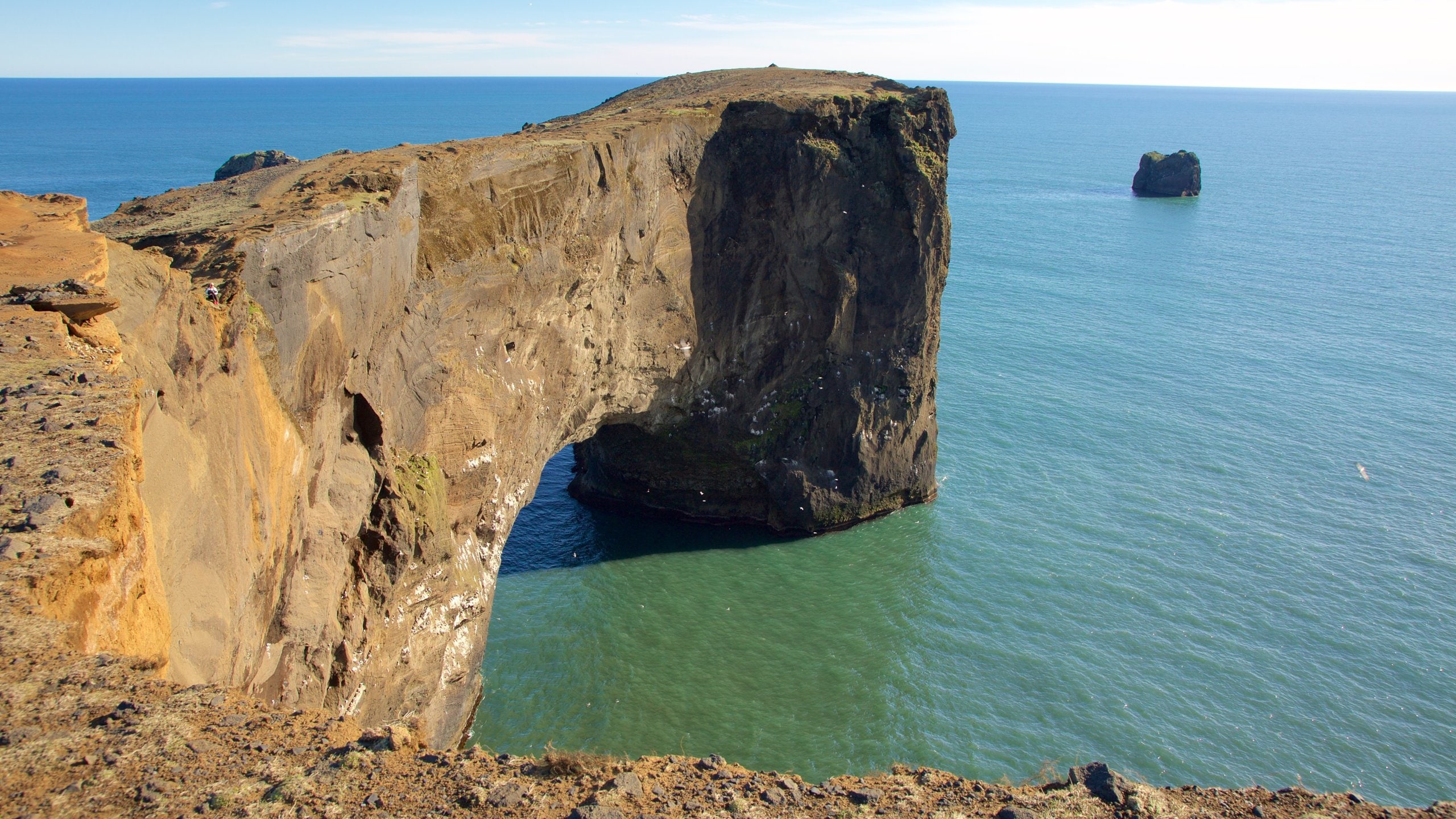 Dyrholaey which includes rocky coastline and general coastal views
