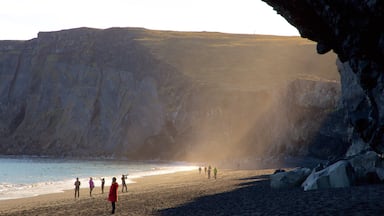 Dyrholaey featuring rocky coastline as well as a large group of people