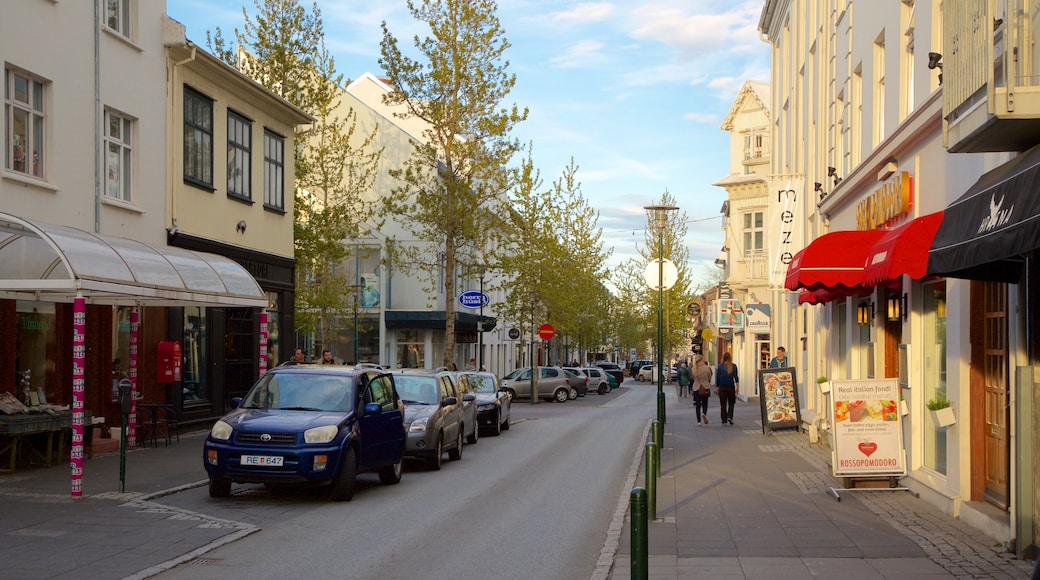 Reykjavik showing street scenes