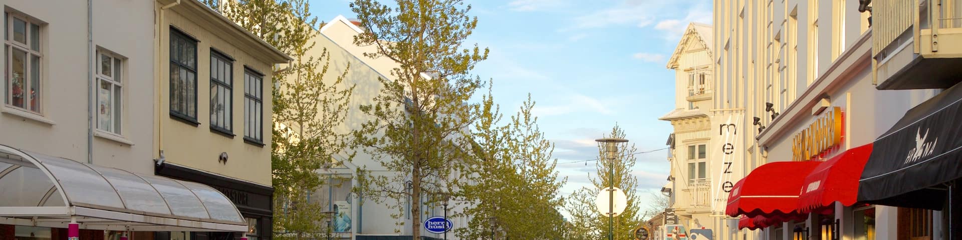 Reykjavik which includes street scenes