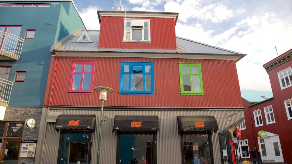 Reikiavik que incluye imágenes de calles