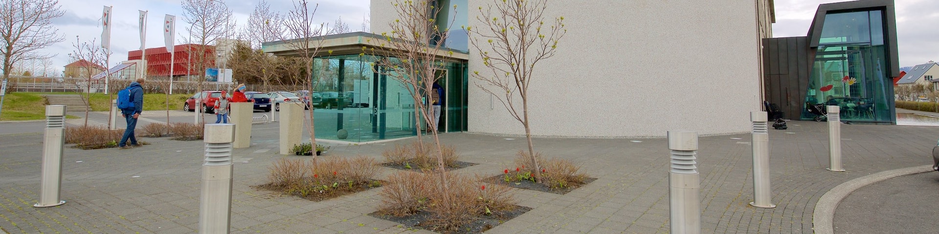 National Museum of Iceland featuring street scenes