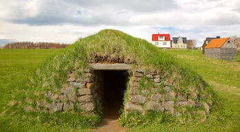 Árbæjarsafn friluftsmuseum som inkluderar historiska element och grottor