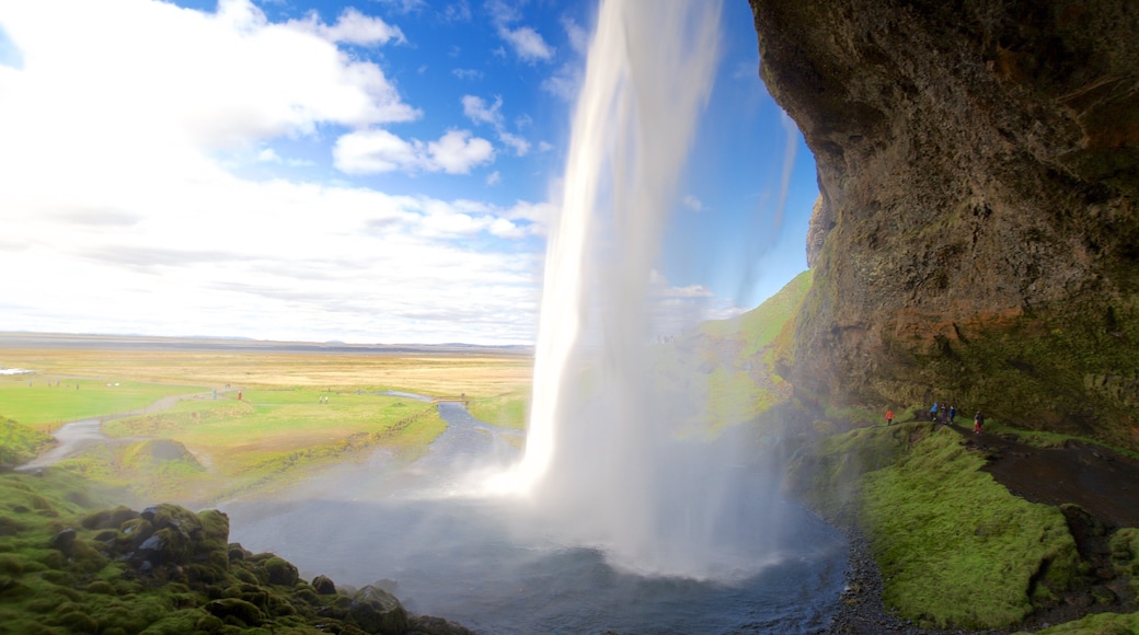 Seljalandsfoss showing a cascade