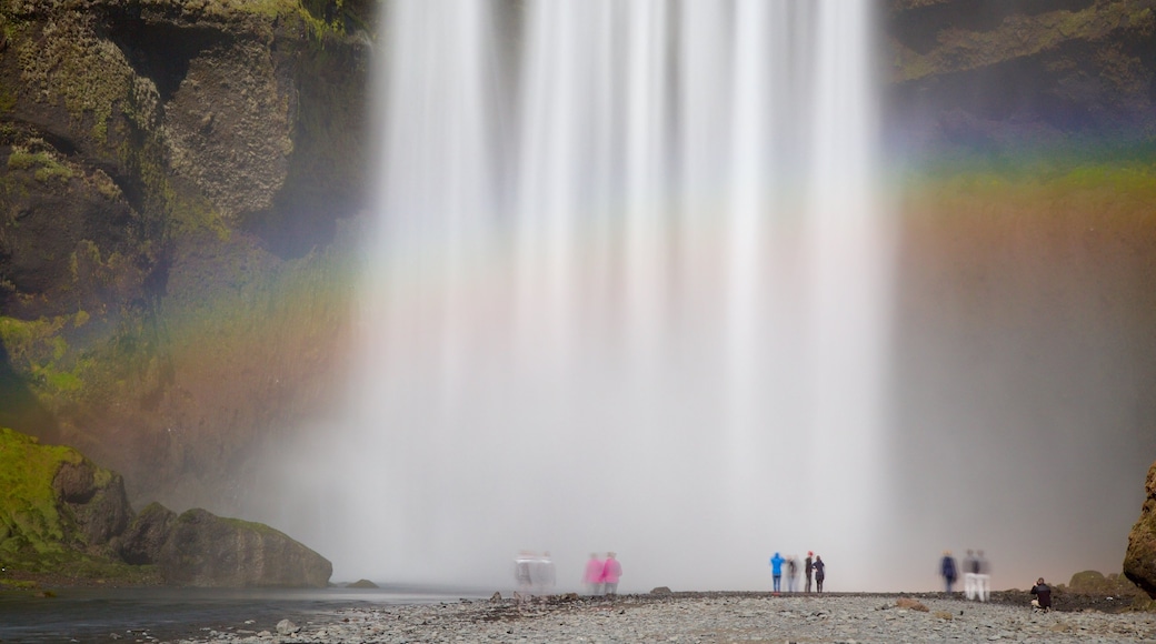 Skógafoss som visar ett vattenfall