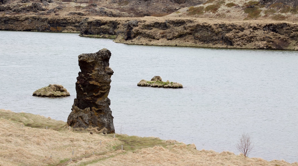 Myvatn presenterar stillsam natur och en sjö eller ett vattenhål