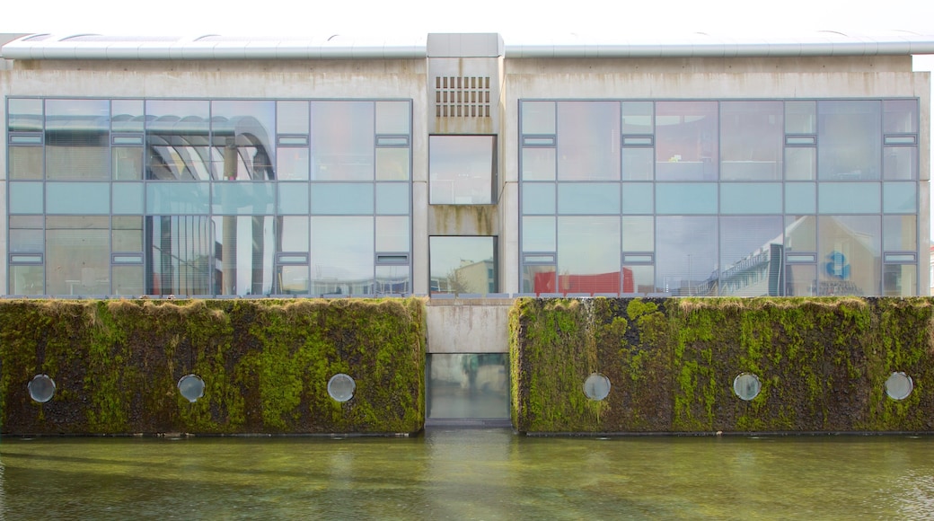 Reykjavik City Hall which includes a pond