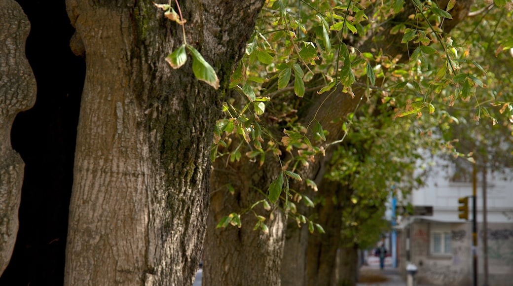 Mitre Square