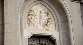 Catedral de los Santos Pedro y Cecilia