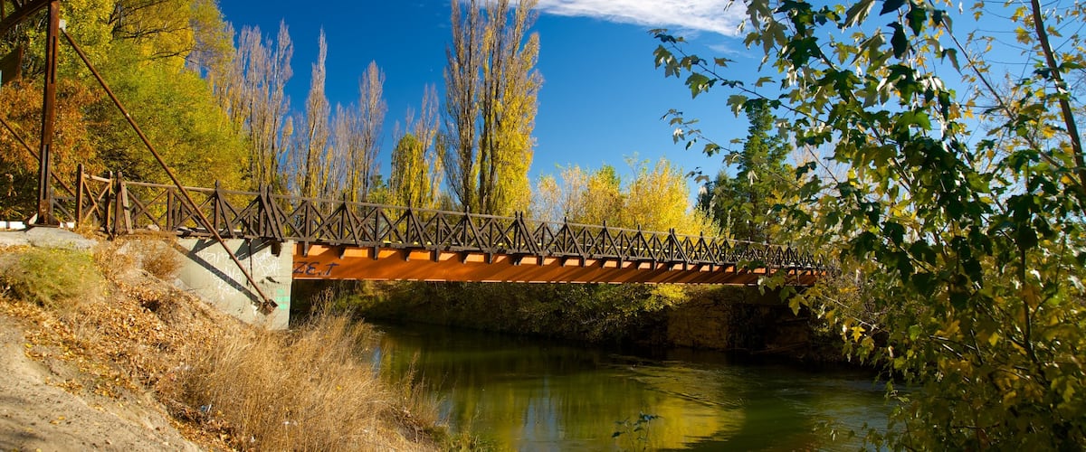 Puerto Madryn ofreciendo un puente y un río o arroyo