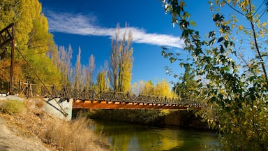 Puerto Madryn showing a bridge and a river or creek