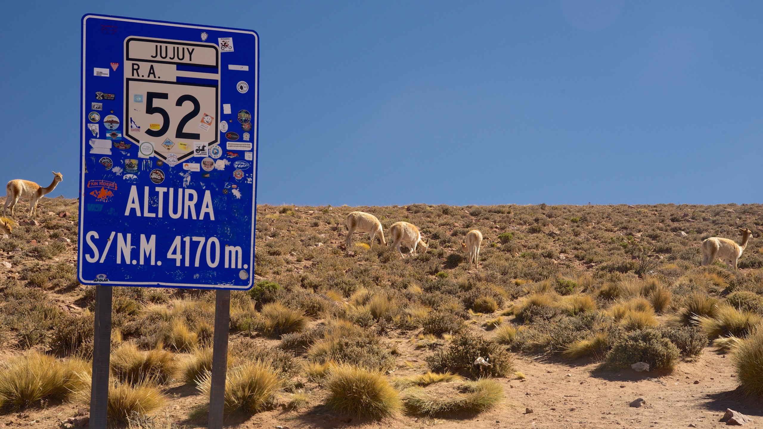 Marqués de Tojo Urbano, San Salvador de Jujuy – Preços atualizados 2023