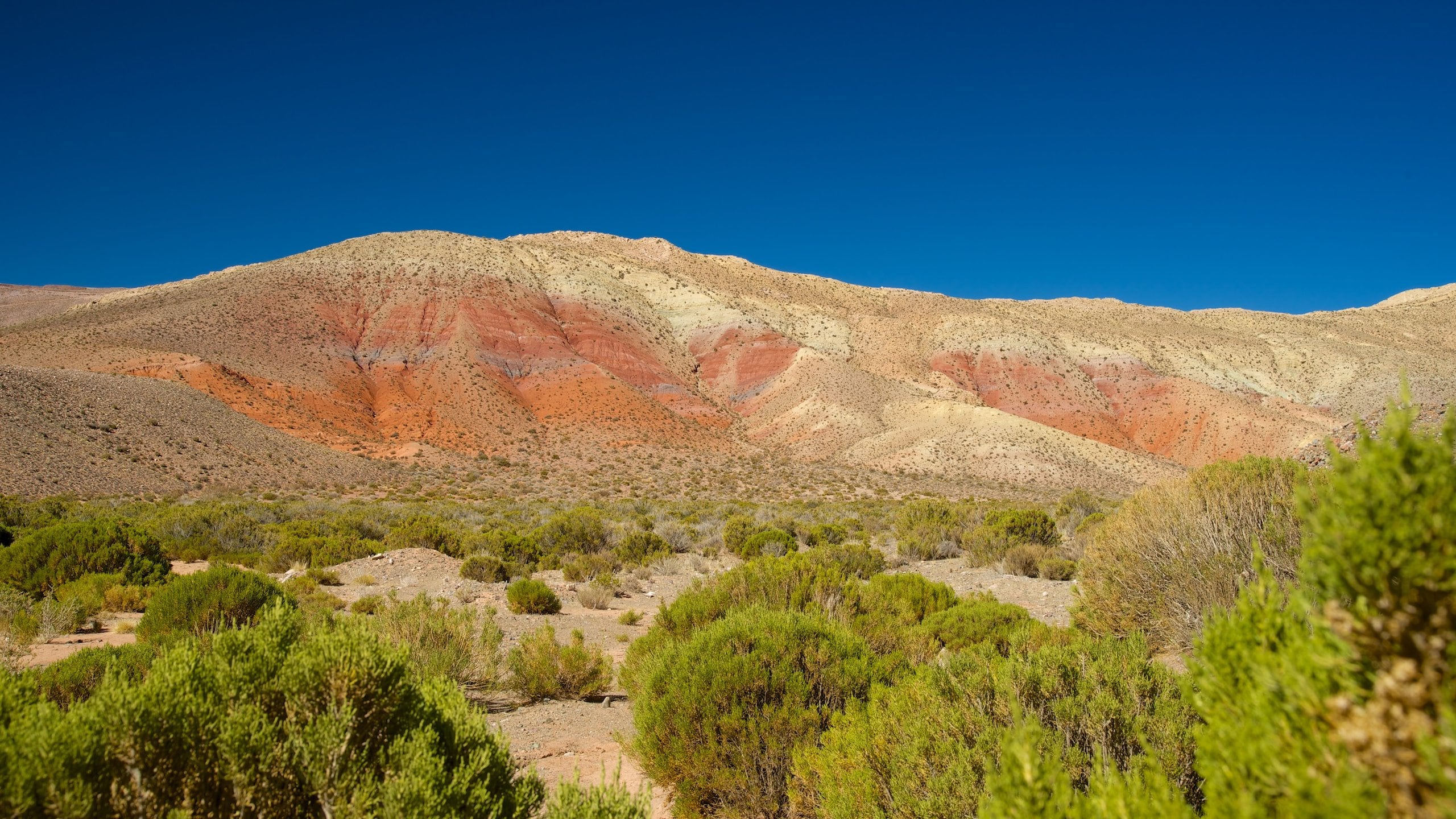 Jujuy showing desert views and mountains