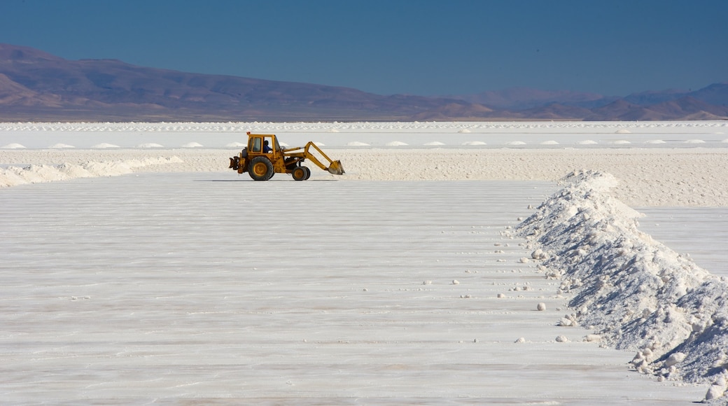 Jujuy showing a lake or waterhole