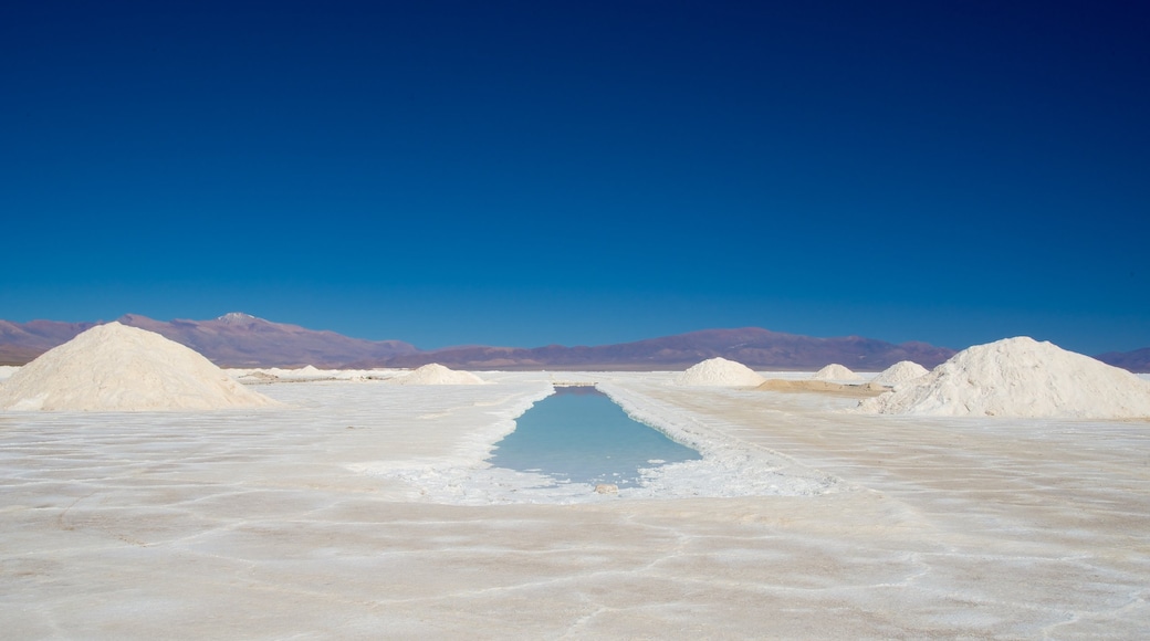 Jujuy featuring a lake or waterhole