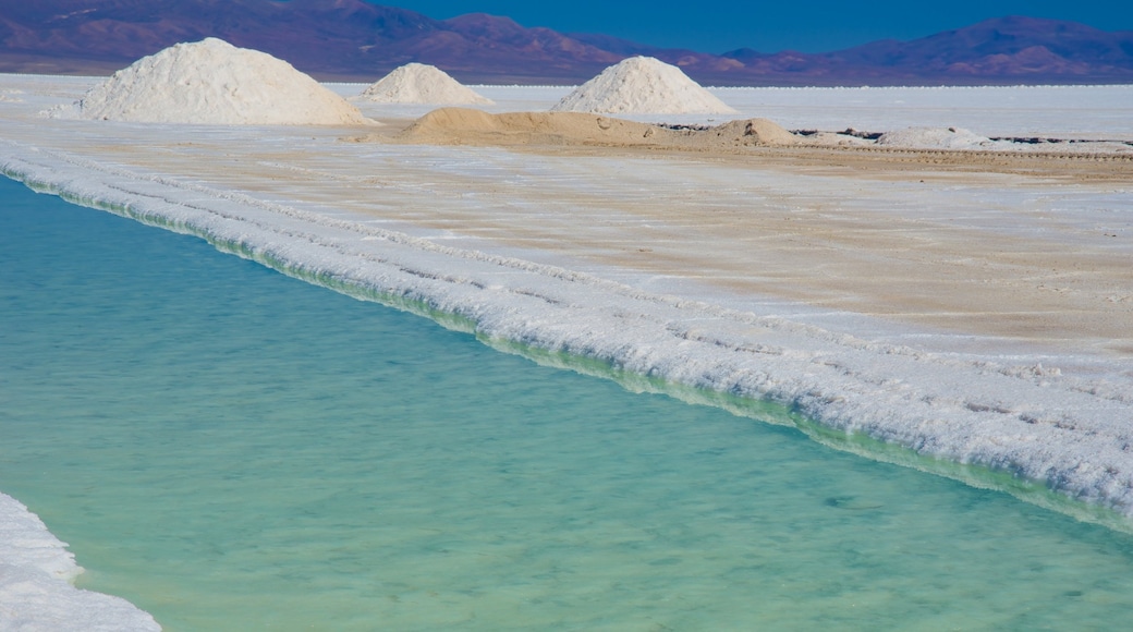 Jujuy which includes a lake or waterhole