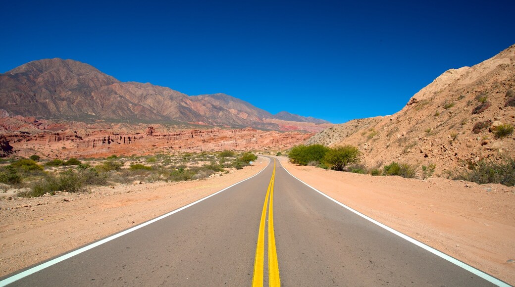Northwest Region showing desert views and street scenes