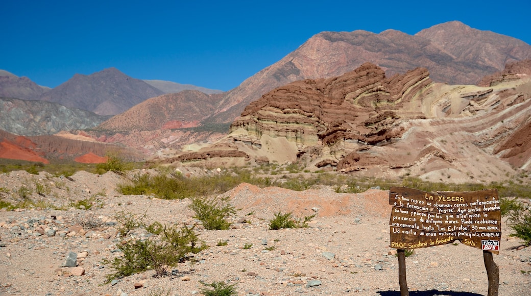 Salta featuring mountains, signage and desert views