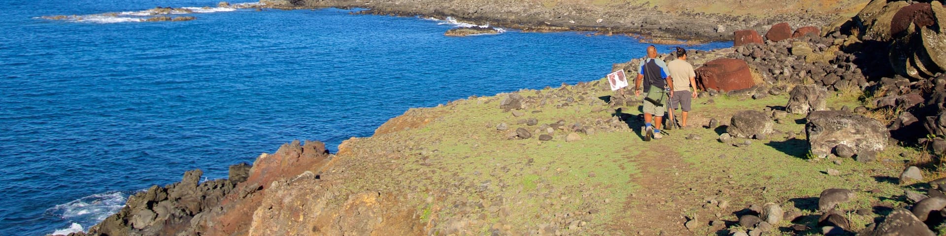 Ahu Hanga Tetenga showing general coastal views and tranquil scenes