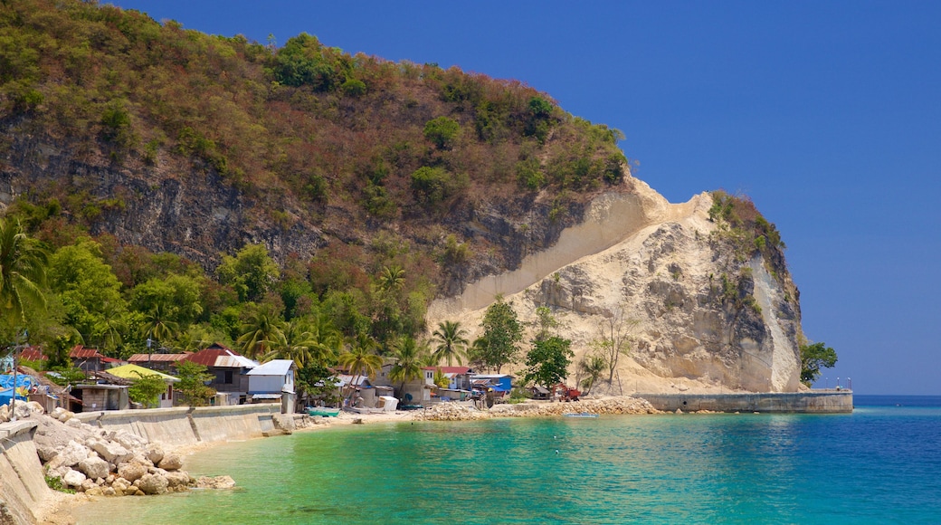 Cebu toont algemene kustgezichten en tropische uitzichten