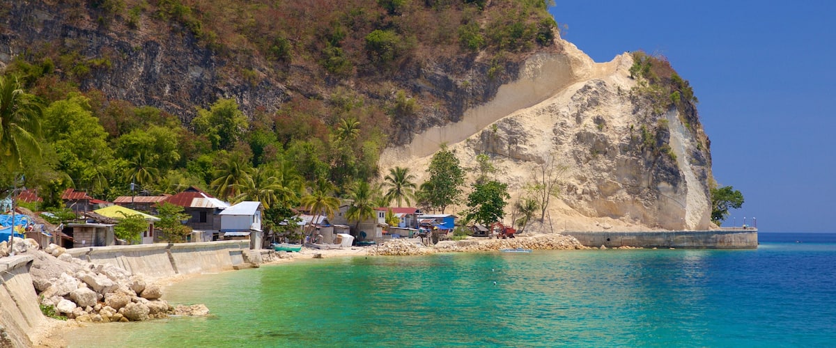 Cebu which includes tropical scenes and general coastal views