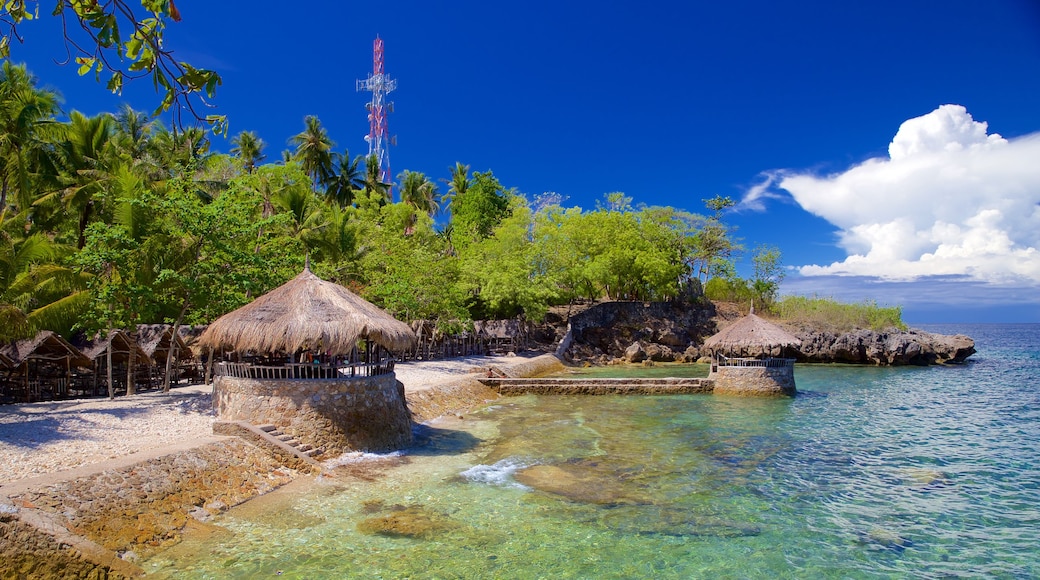 Isla de Cebú que incluye vistas generales de la costa y escenas tropicales