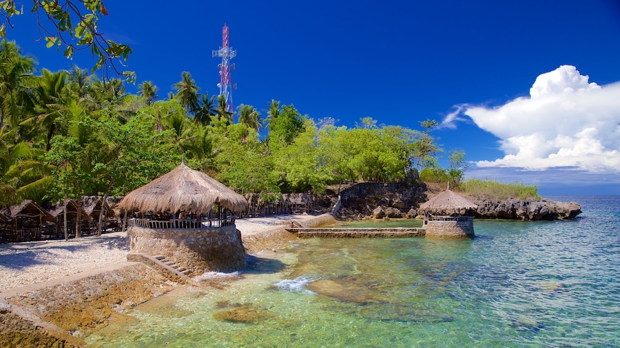 Cebu Island showing tropical scenes and general coastal views