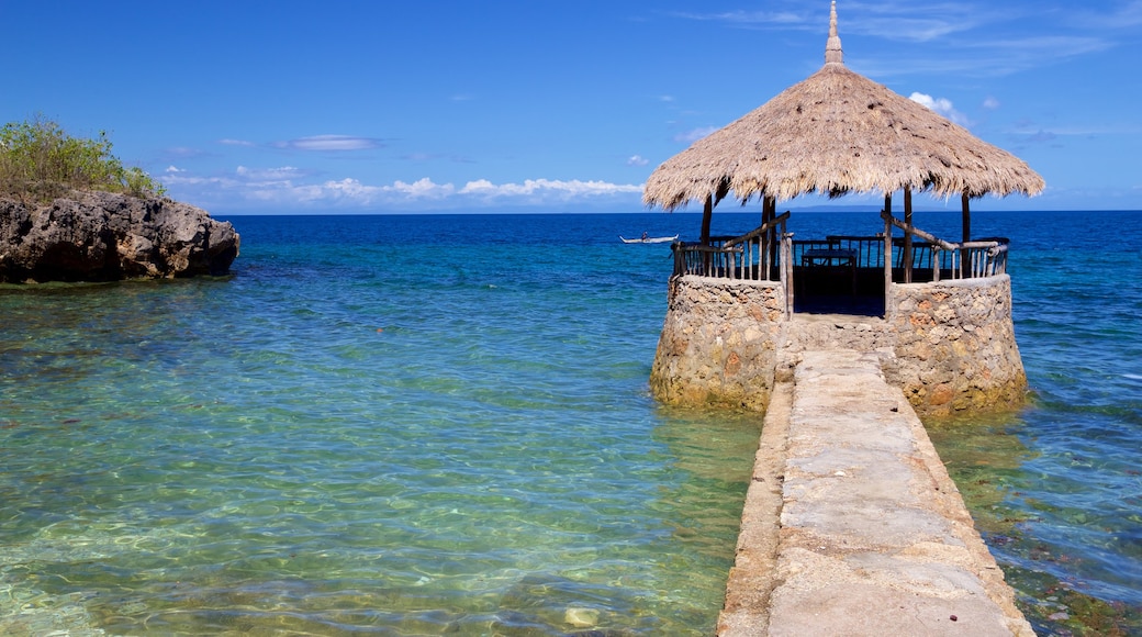 Cebu Island which includes general coastal views