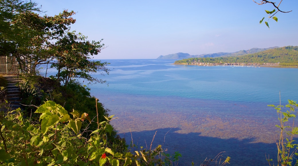 Cebu Island showing general coastal views