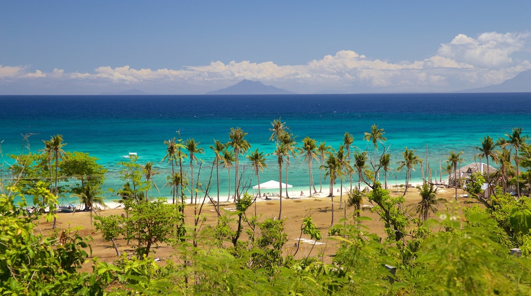 Guimbitayan Beach featuring tropical scenes and general coastal views