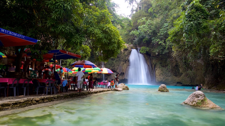Kawasan Falls showing a waterfall, outdoor eating and a river or creek