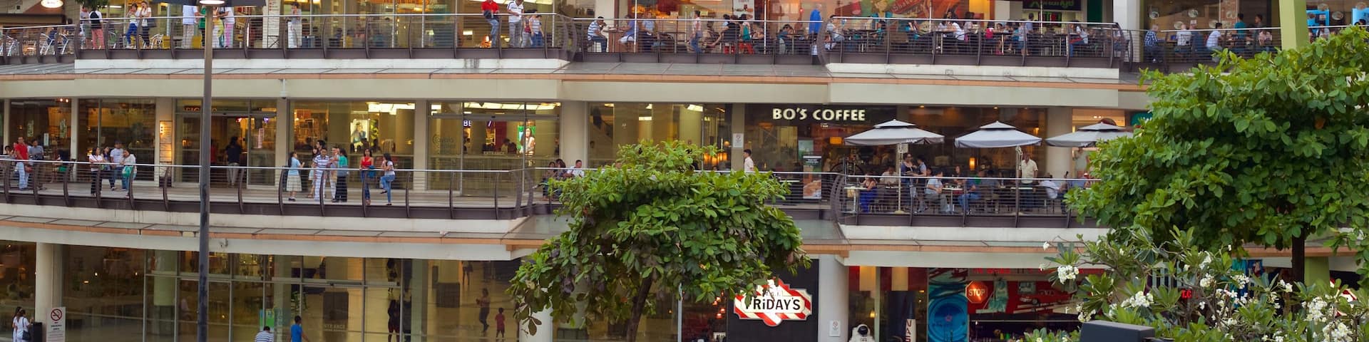 Ayala Center which includes modern architecture