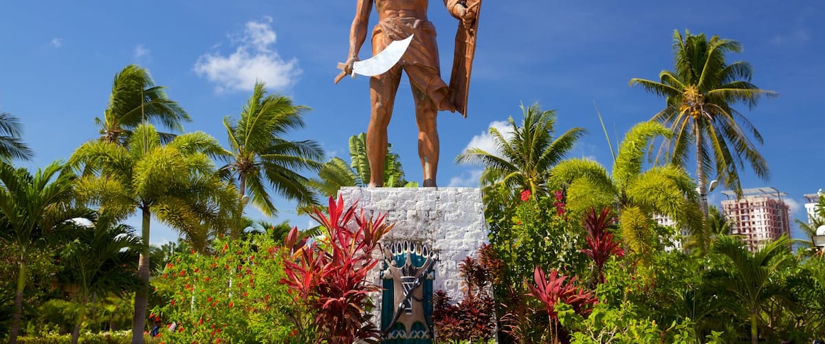 Cebu showing a statue or sculpture and a garden