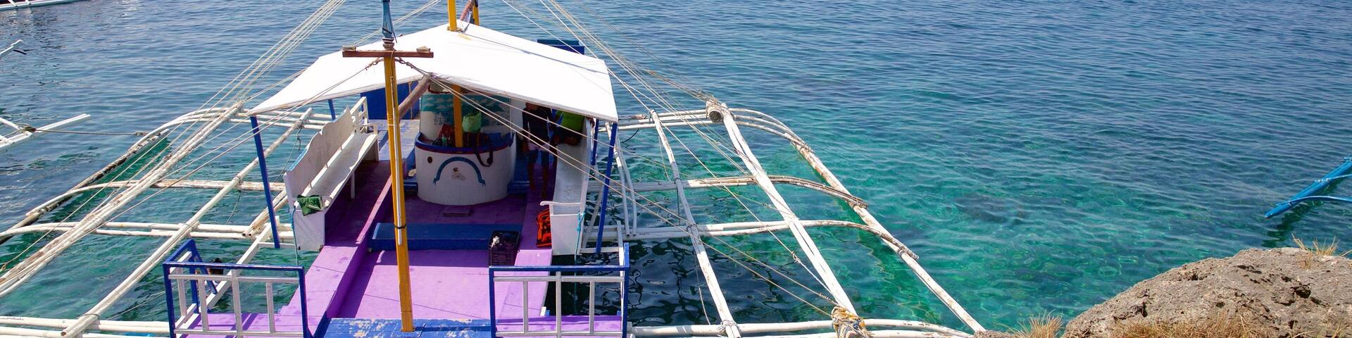 Pescador Island showing general coastal views