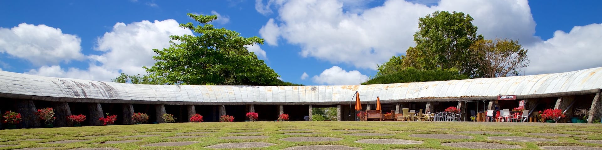 Tops Lookout showing a park and a square or plaza