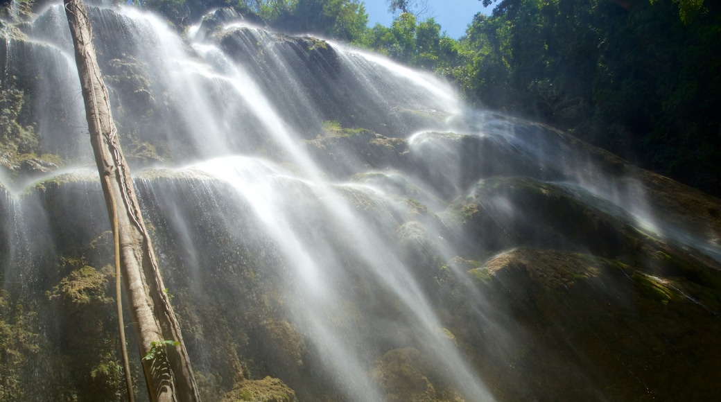 Cebu which includes a cascade