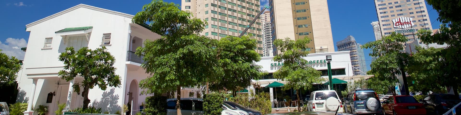 Mandaluyong which includes a high rise building and a city