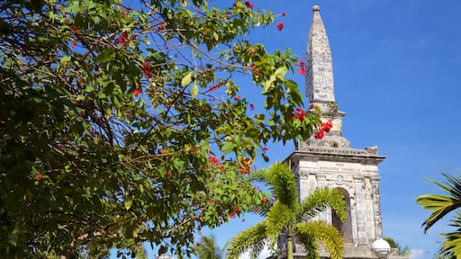 Lapu Lapu which includes religious elements and heritage architecture