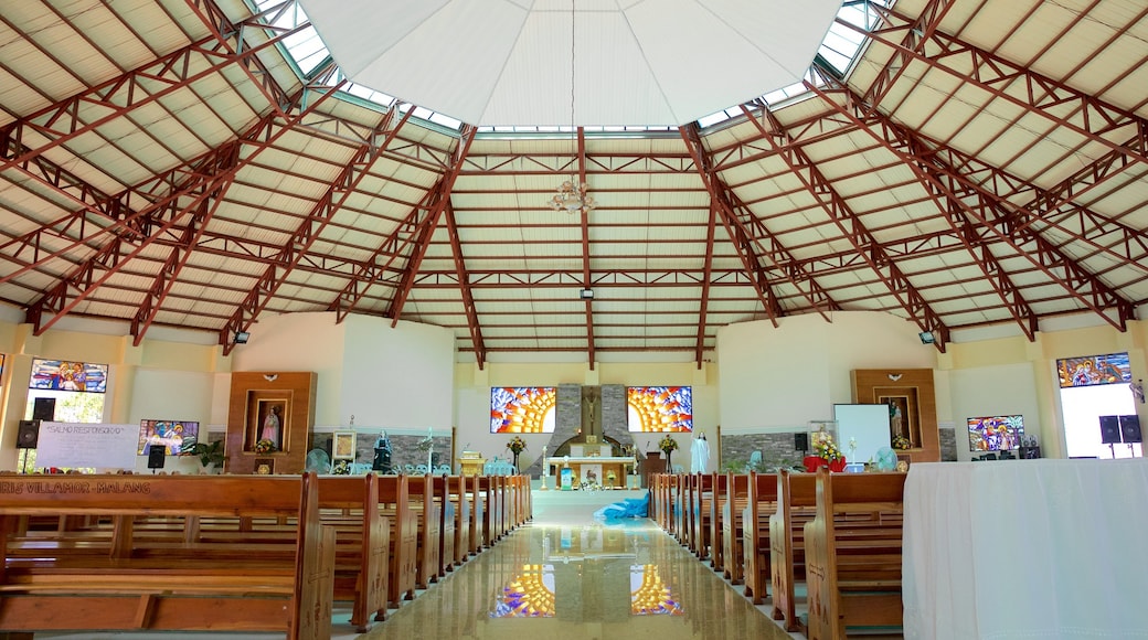 Sogod que incluye aspectos religiosos, vista interna y una iglesia o catedral