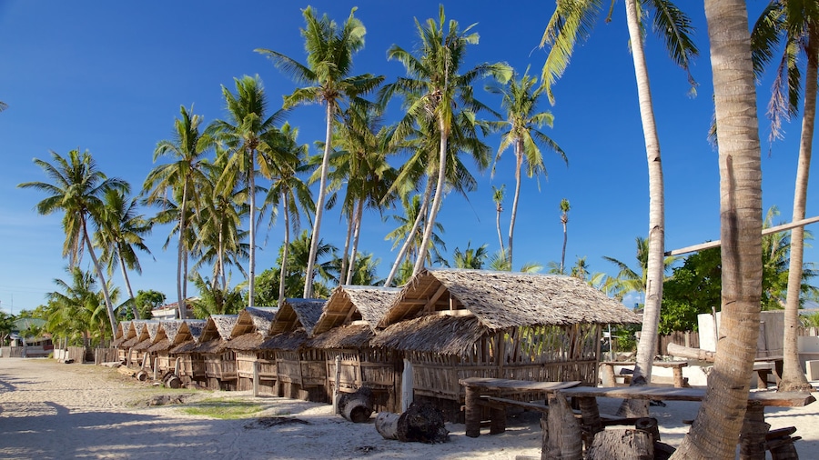 Santa Fe ofreciendo escenas tropicales y una playa de arena