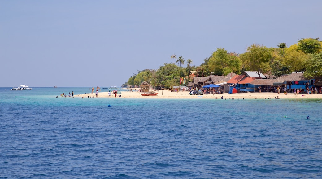 Moalboal showing general coastal views