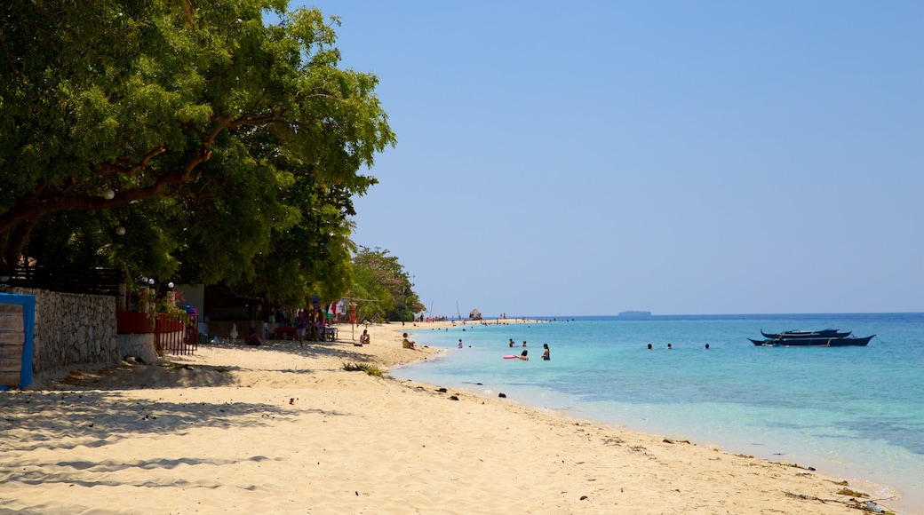 Moalboal which includes a sandy beach and general coastal views