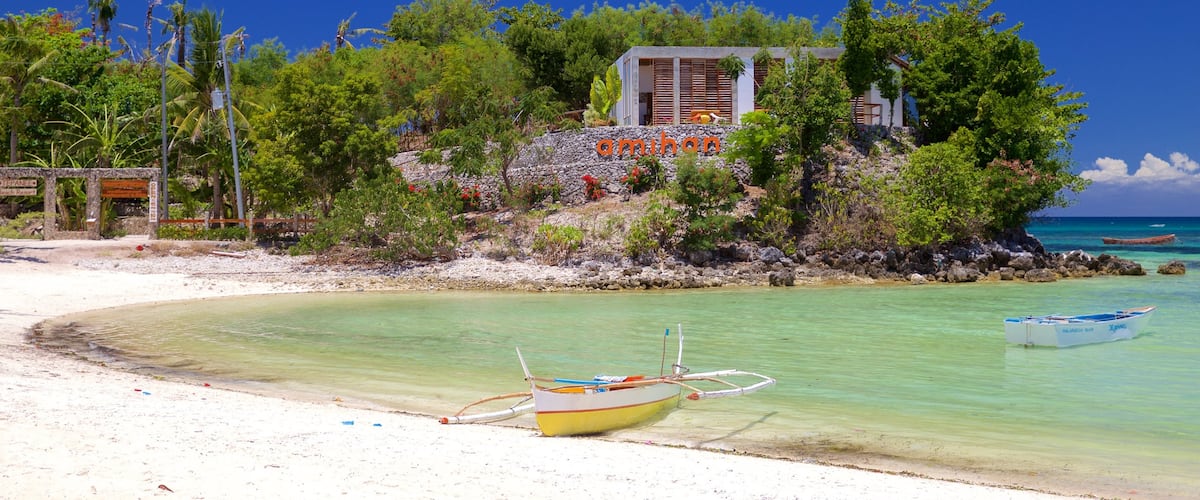 Logon mettant en vedette plage de sable et vues littorales