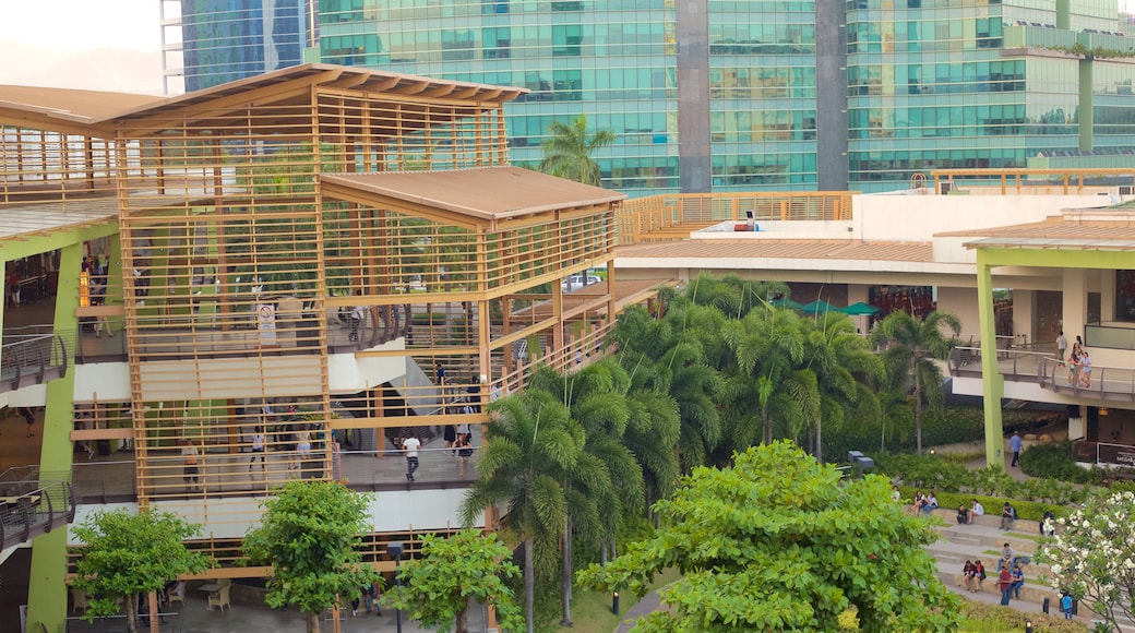 Ayala Center which includes a park and modern architecture