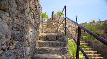 Fort San Pedro caratteristiche di rovine