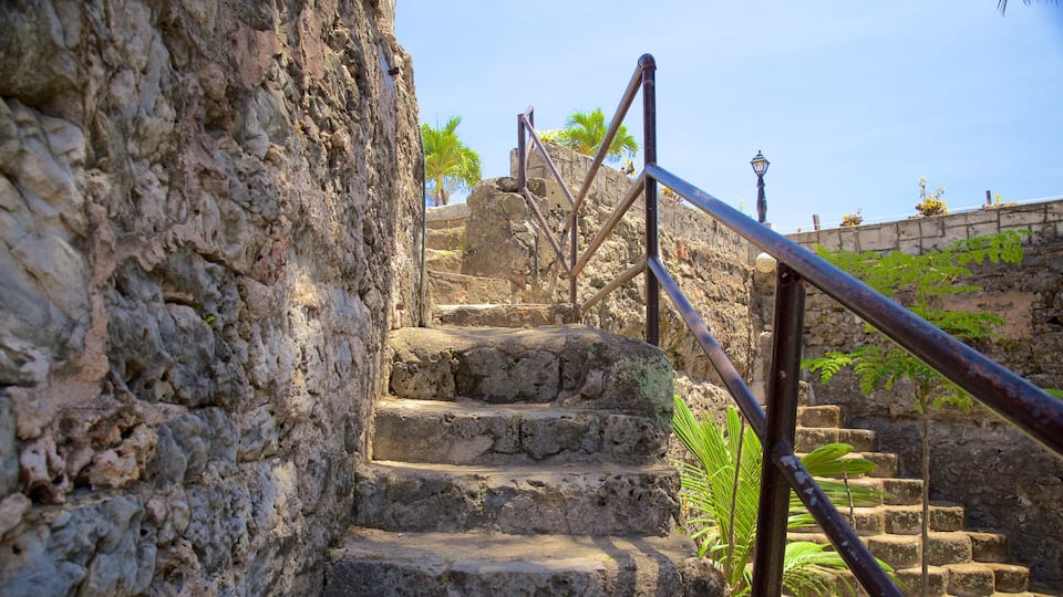 Fuerte San Pedro que incluye una ruina