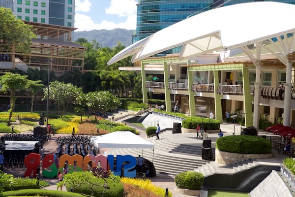 Ayala Center which includes a park